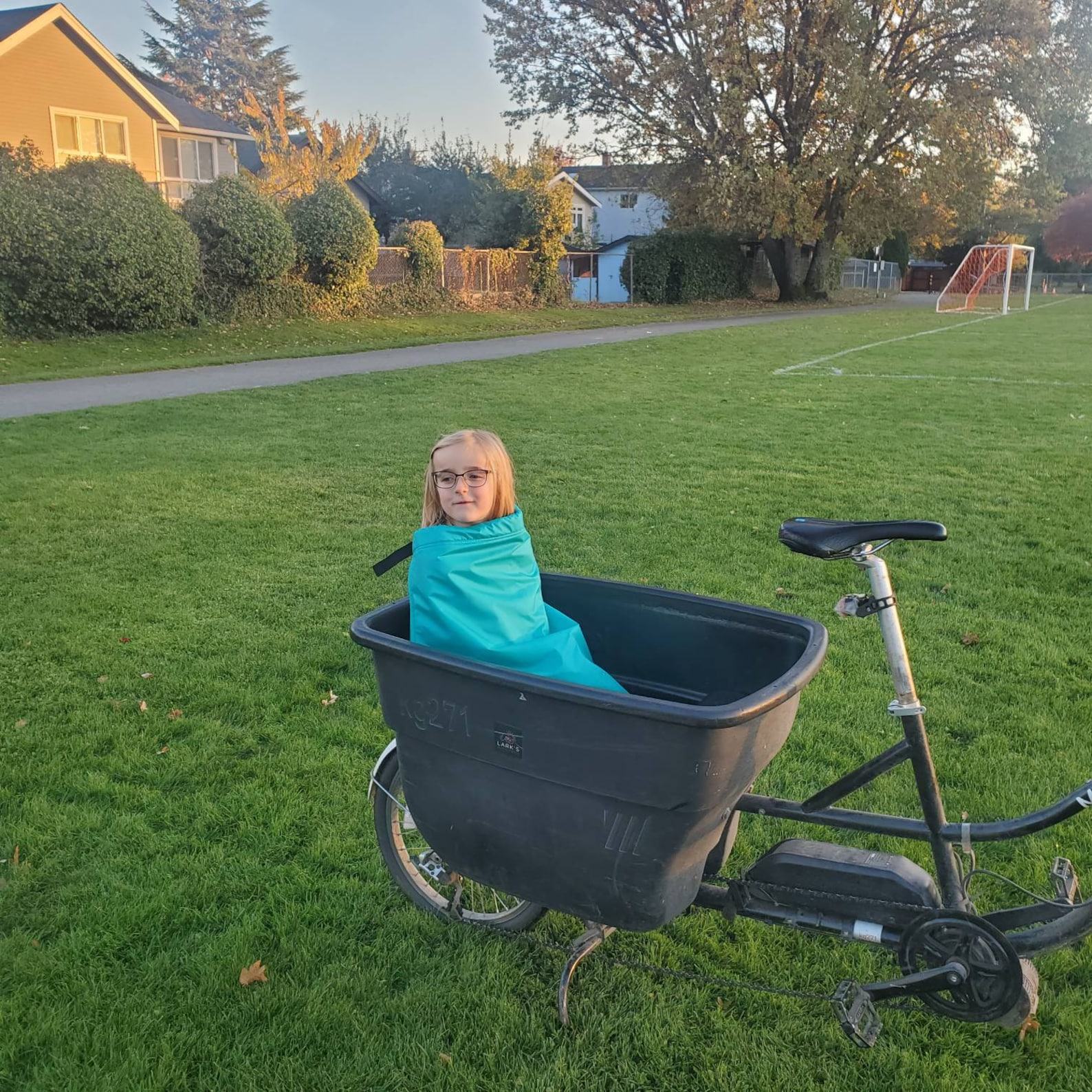 Cozy Comfort on Two Wheels The Classic Lark Bike Blanket