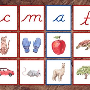 Cursive Letter Sounds Picture Sorting Cards Red Consonants, Blue Vowels