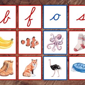Cursive Letter Sounds Picture Sorting Cards Red Consonants, Blue Vowels