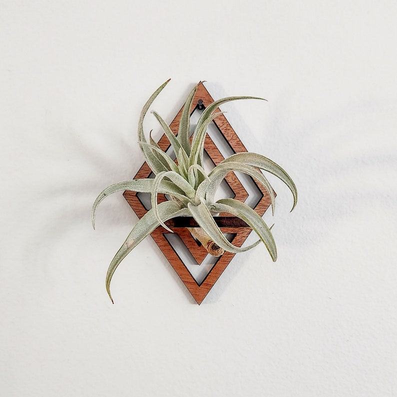 Diamond-Cut Geometric Air Plant Wall Decor Elevate Your Greenery with Modern Elegance
