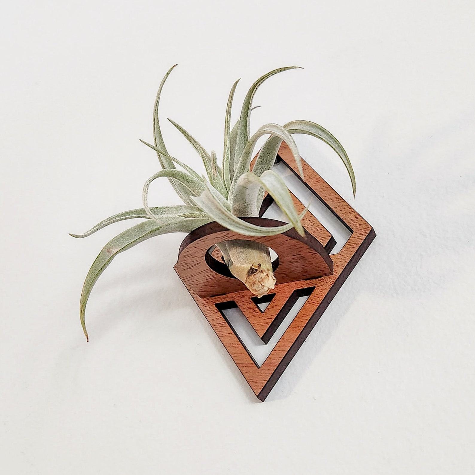Diamond-Cut Geometric Air Plant Wall Decor Elevate Your Greenery with Modern Elegance