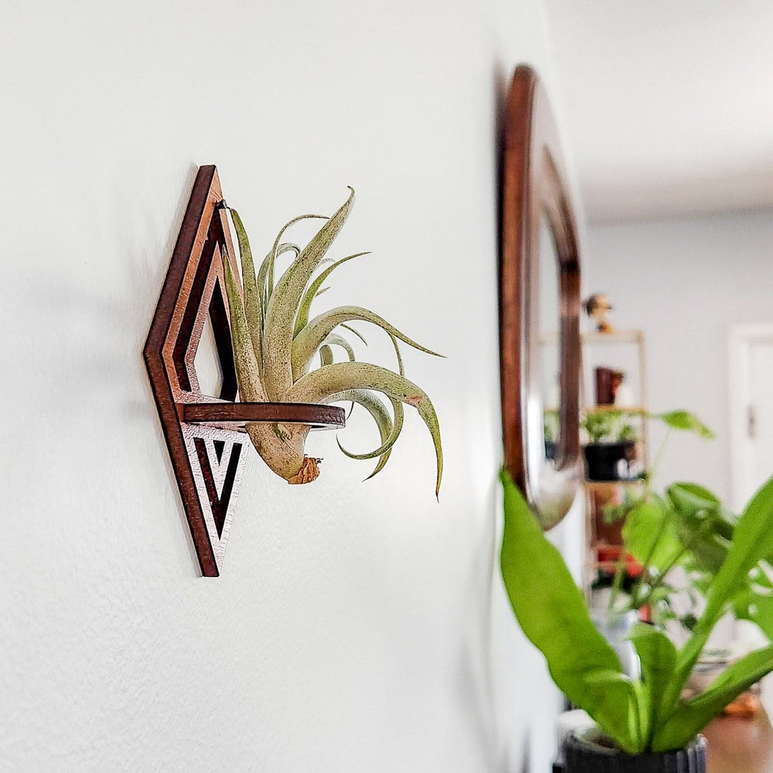 Diamond-Cut Geometric Air Plant Wall Decor Elevate Your Greenery with Modern Elegance