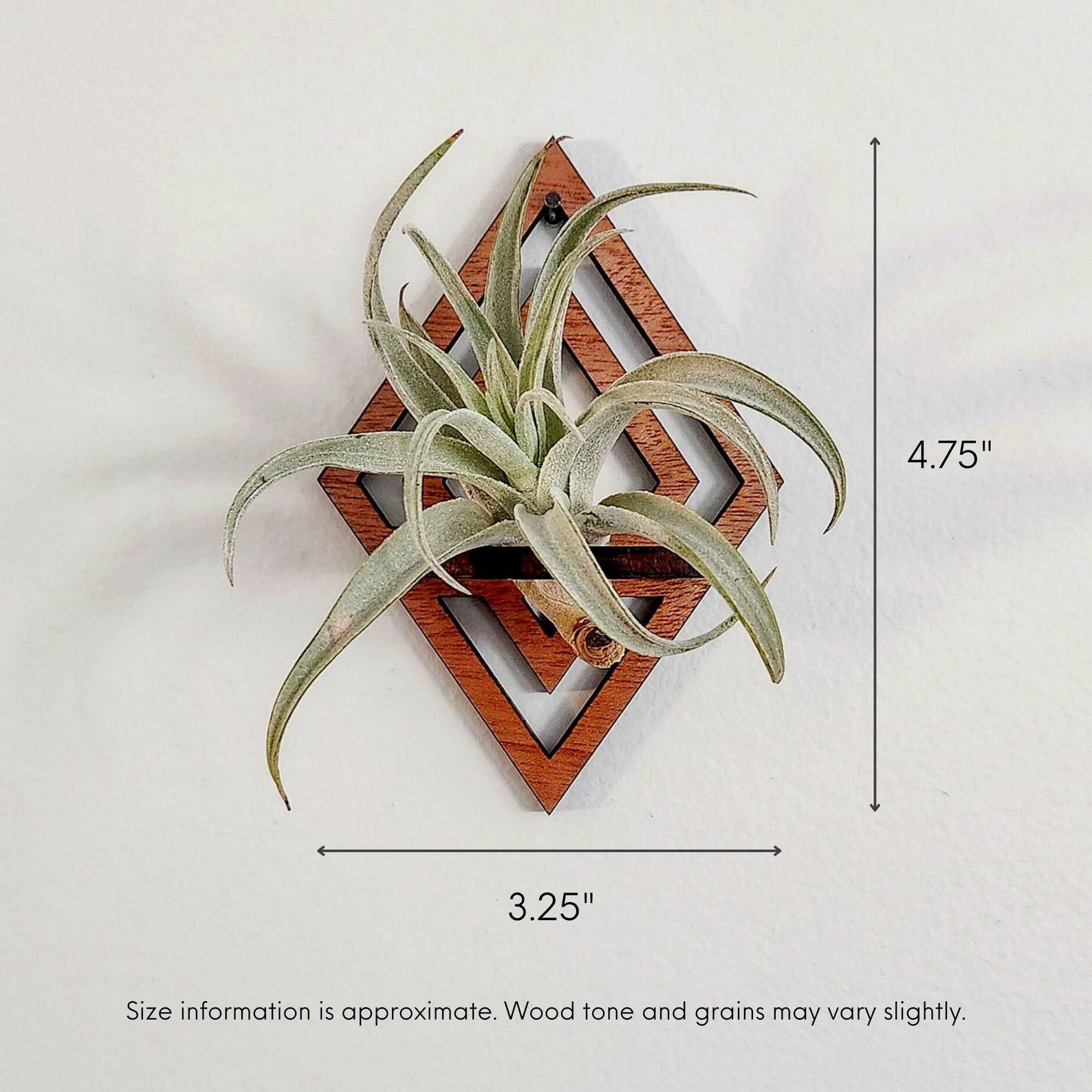 Diamond-Cut Geometric Air Plant Wall Decor Elevate Your Greenery with Modern Elegance