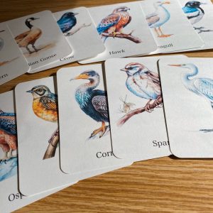 Discover the World of Birds Printable Flashcards for Nature Enthusiasts