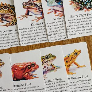 Discover the World of Frogs Printable Flashcards for Nature Science Exploration