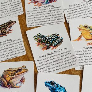 Discover the World of Frogs Printable Flashcards for Nature Science Exploration