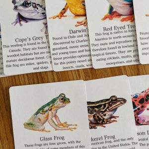 Discover the World of Frogs Printable Flashcards for Nature Science Exploration