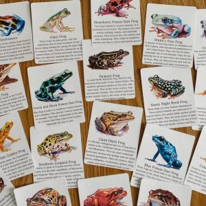 Discover the World of Frogs Printable Flashcards for Nature Science Exploration