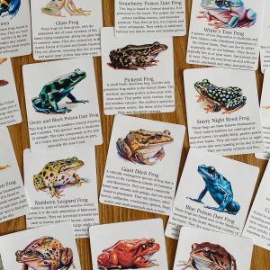 Discover the World of Frogs Printable Flashcards for Nature Science Exploration