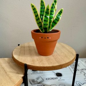 Dracaena Trifasciata ‘Laurentii’ The Unbreakable Snake Plant for Your Home Oasis