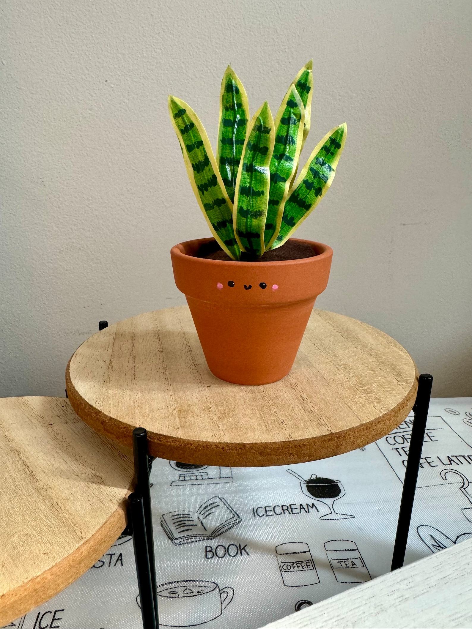 Dracaena Trifasciata ‘Laurentii’ The Unbreakable Snake Plant for Your Home Oasis - Image 2