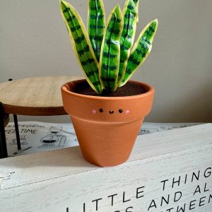 Dracaena Trifasciata ‘Laurentii’ The Unbreakable Snake Plant for Your Home Oasis