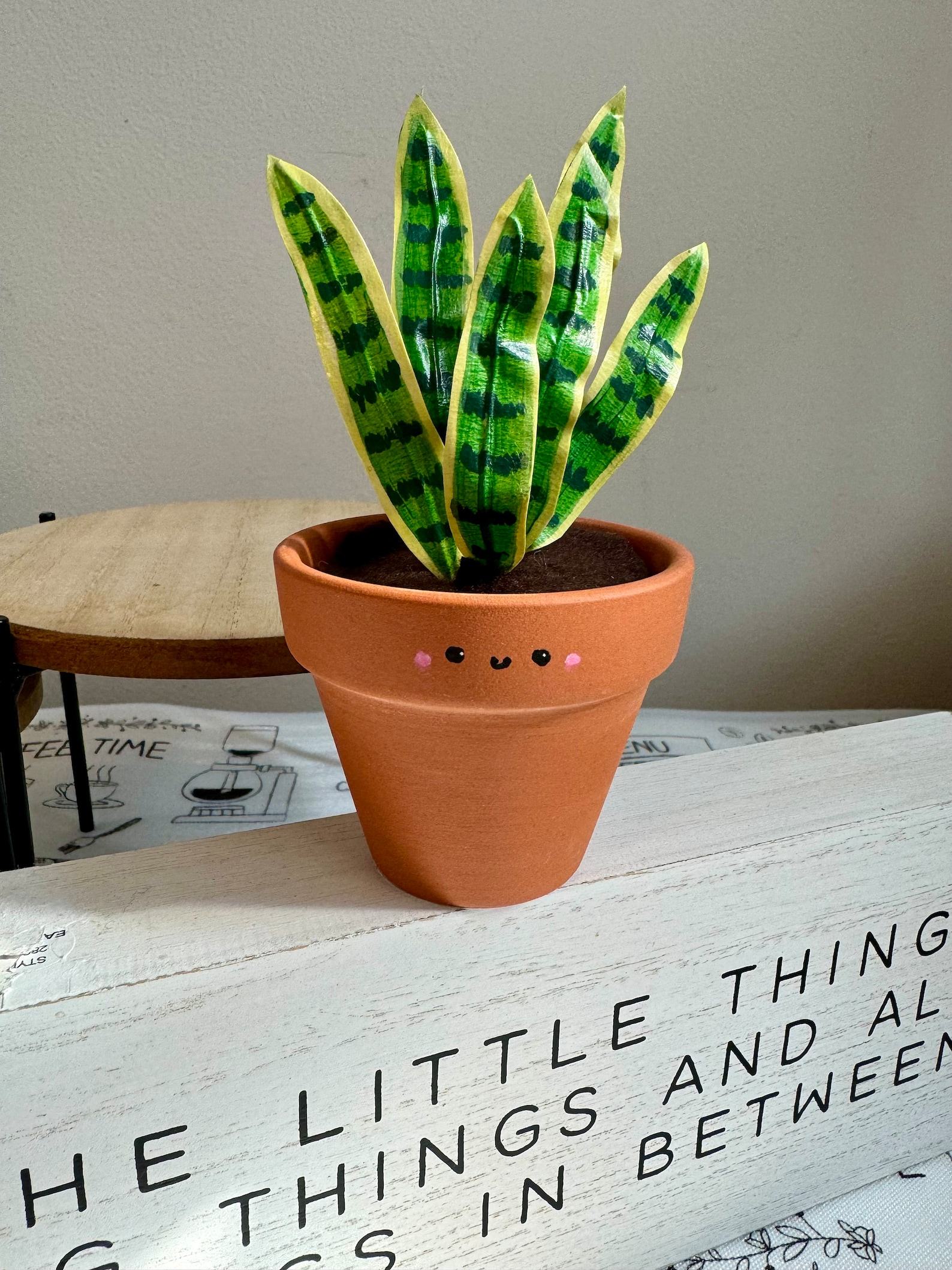 Dracaena Trifasciata ‘Laurentii’ The Unbreakable Snake Plant for Your Home Oasis - Image 3