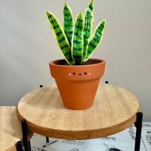 Dracaena Trifasciata ‘Laurentii’ The Unbreakable Snake Plant for Your Home Oasis