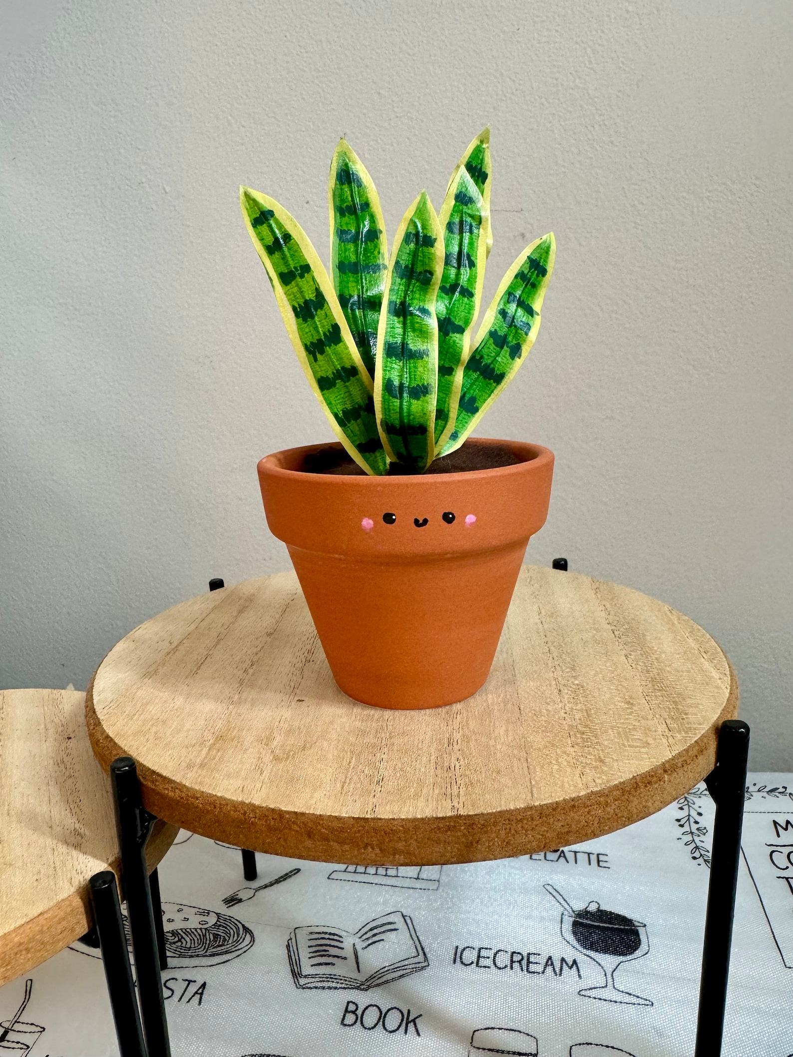 Dracaena Trifasciata ‘Laurentii’ The Unbreakable Snake Plant for Your Home Oasis - Image 4