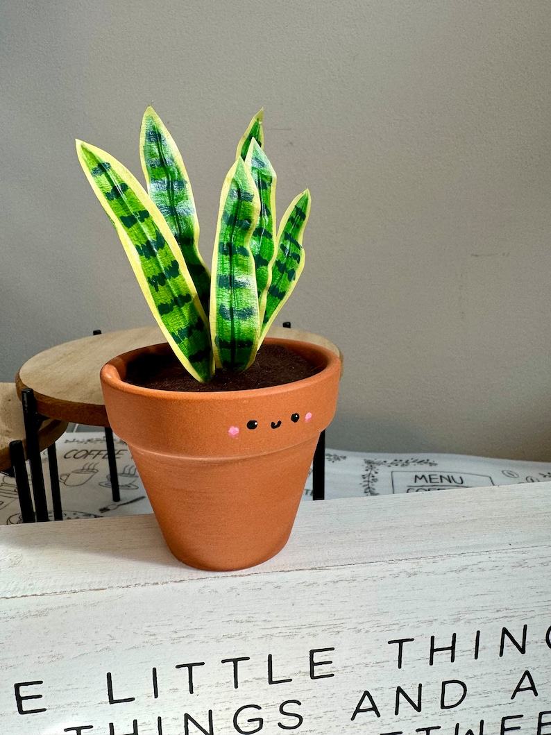 Dracaena Trifasciata ‘Laurentii’ The Unbreakable Snake Plant for Your Home Oasis