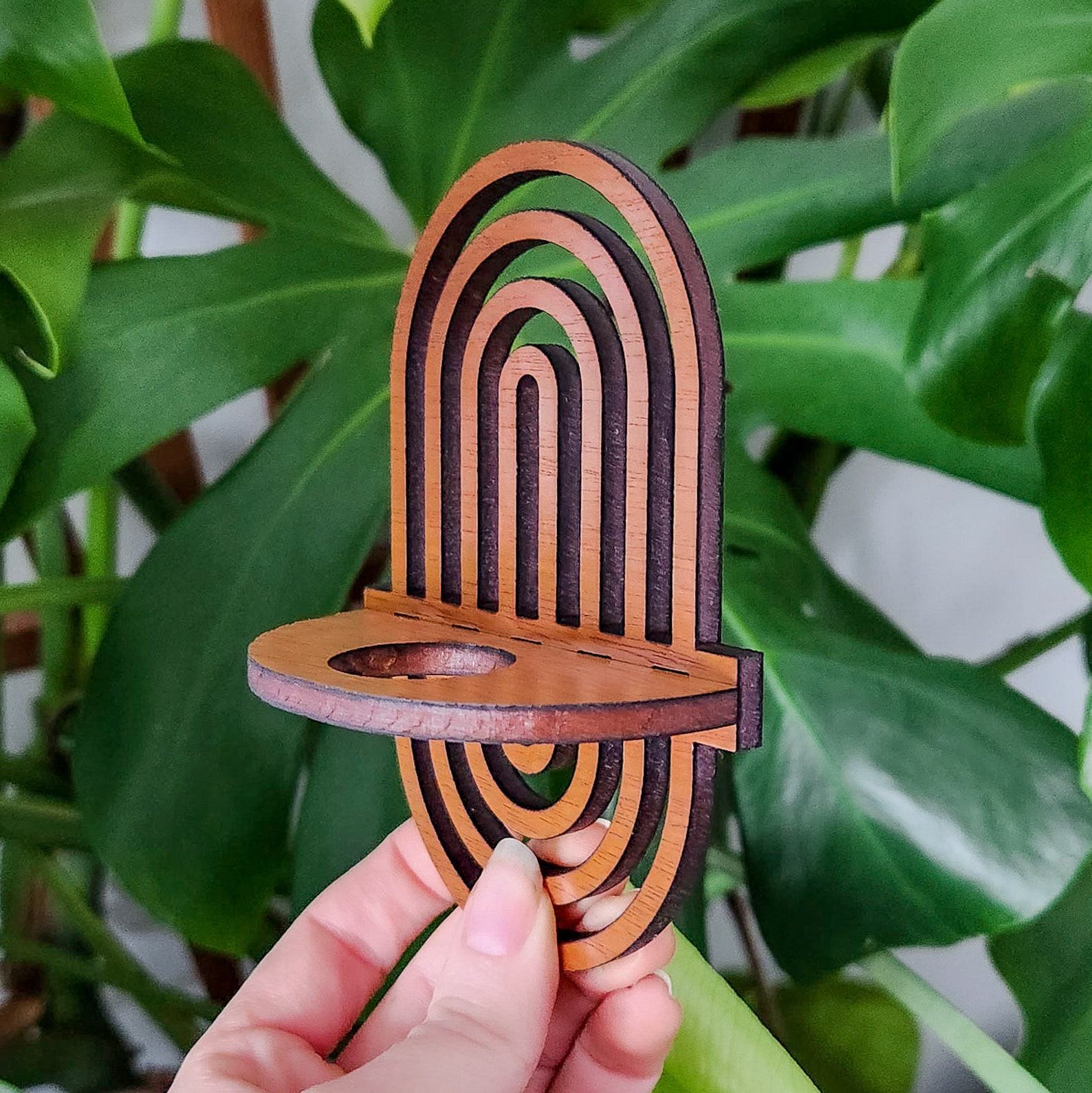 Enchanting Boho Rainbow Air Plant Wall Display Elevate Your Plant Sanctuary