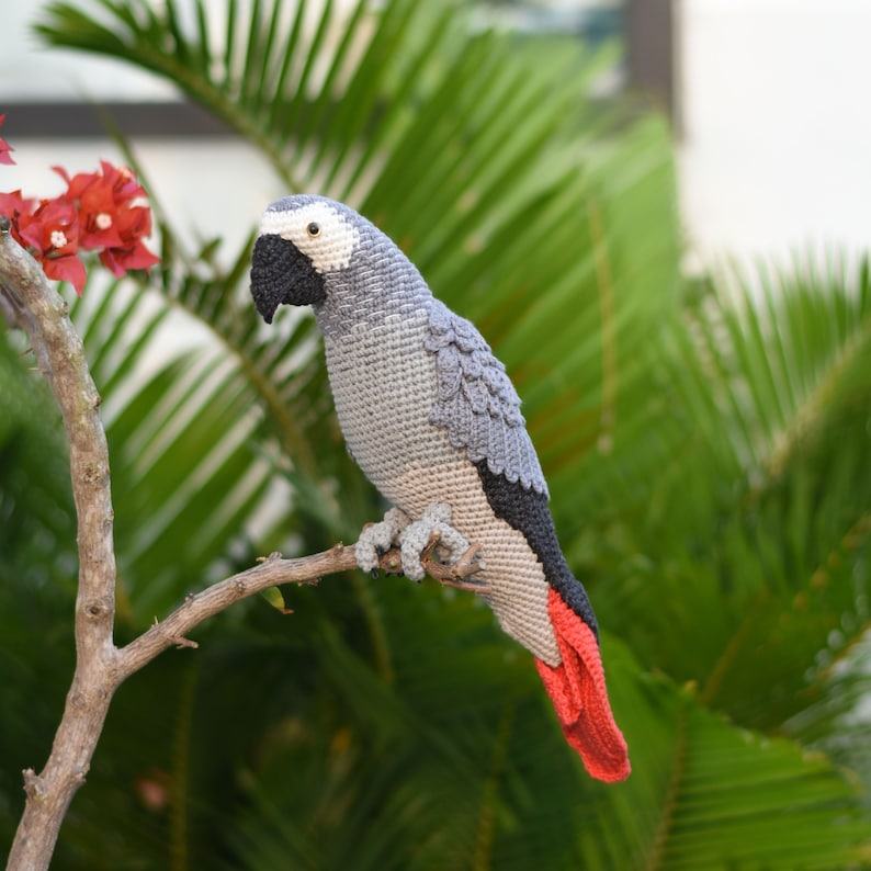 Enchanting Congo African Grey Parrot A Crochet Masterpiece for Bird Lovers