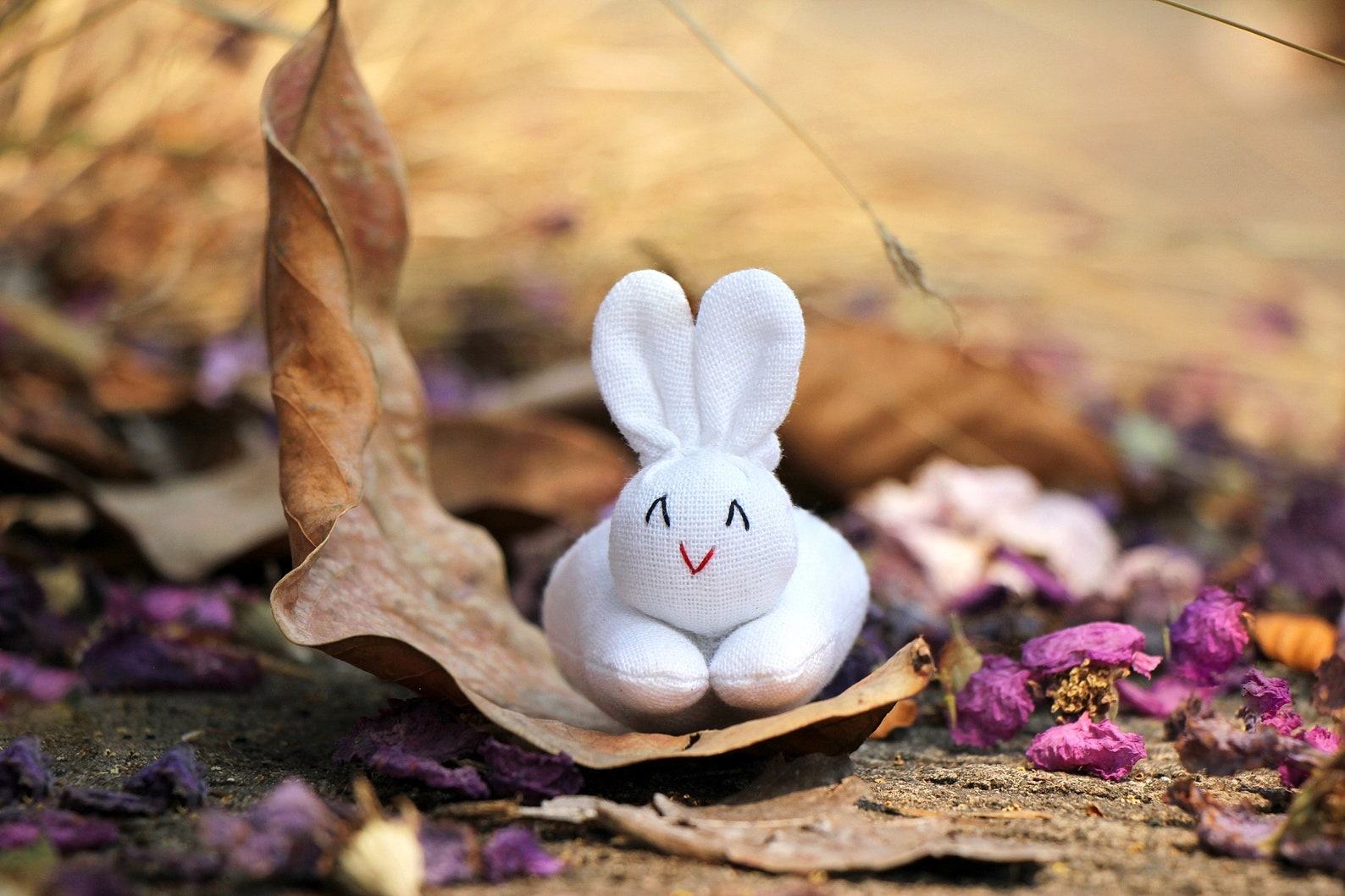 Enchanting Easter Trio Organic Bunny Plush in Carrot Zip Purse - Image 5