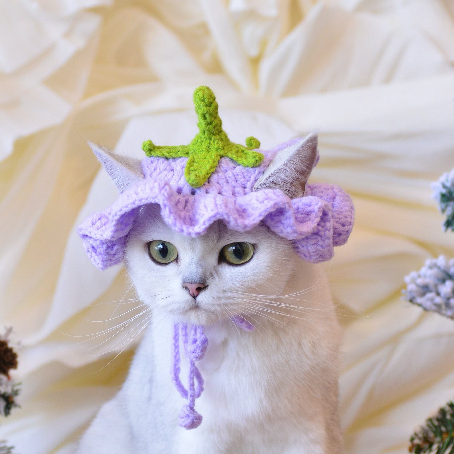 Enchanting Eggplant Elegance Matching Crochet Hat Set for You and Your Furry Friend