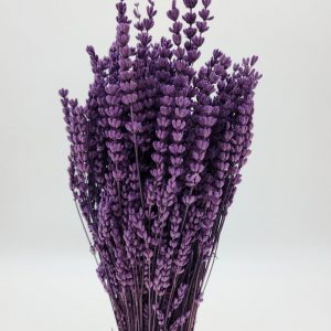 Enchanting Lavender Bundle Nature’s Fragrance for Home, Events, and Crafts