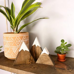 Enchanting Mountain Shelf A Nursery Adventure for Little Explorers