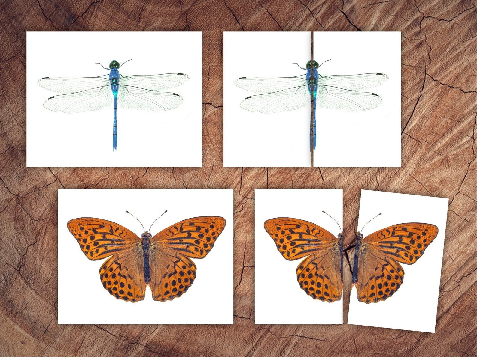 Engaging Insect Symmetry Puzzles and Matching Cards for Toddler Preschool Learning - Image 3