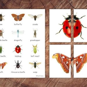 Engaging Insect Symmetry Puzzles and Matching Cards for Toddler Preschool Learning