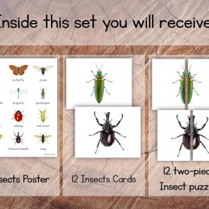 Engaging Insect Symmetry Puzzles and Matching Cards for Toddler Preschool Learning