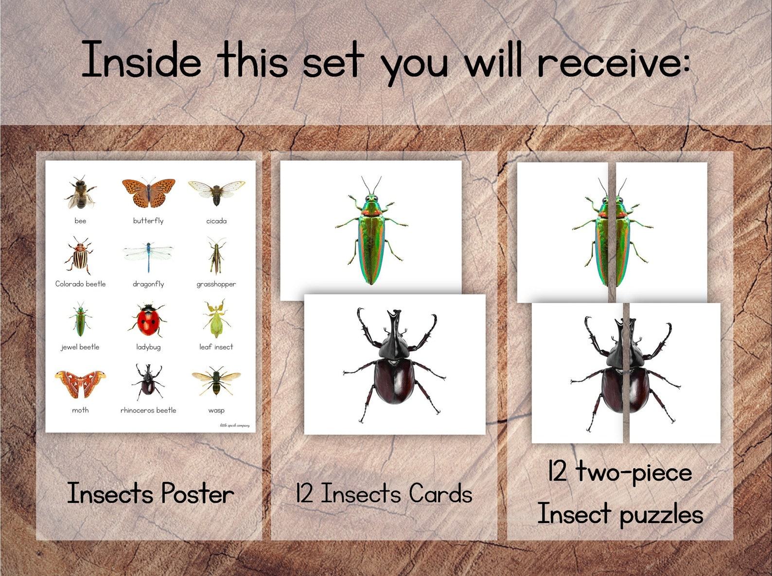 Engaging Insect Symmetry Puzzles and Matching Cards for Toddler Preschool Learning - Image 5