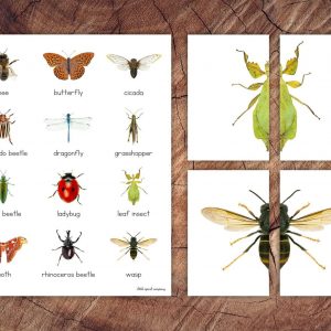Engaging Insect Symmetry Puzzles and Matching Cards for Toddler Preschool Learning