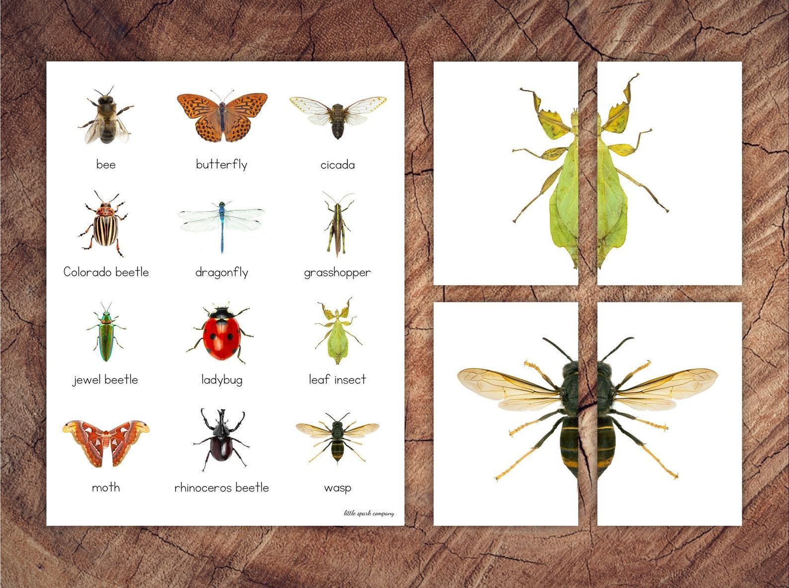 Engaging Insect Symmetry Puzzles and Matching Cards for Toddler Preschool Learning - Image 2