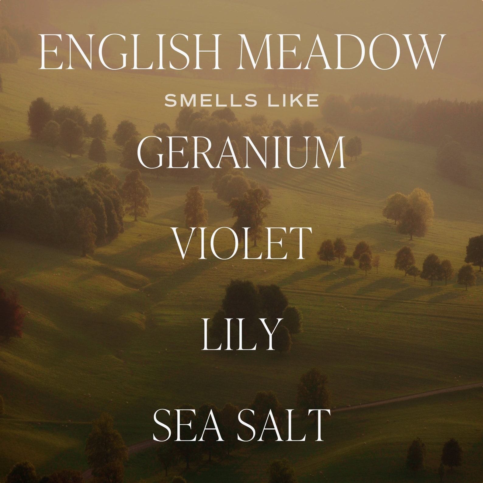 English Meadow Soy Candle Floral Summer Scent, Non-Toxic, Green Matte Jar