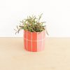 Enliven Your Abode Intricate Ceramic Planter for Indoor Greenery