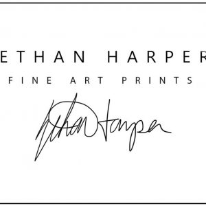 Ethan Harper’s Masterful Black Lab Drawing A Timeless Wall Decor for Dog Lovers