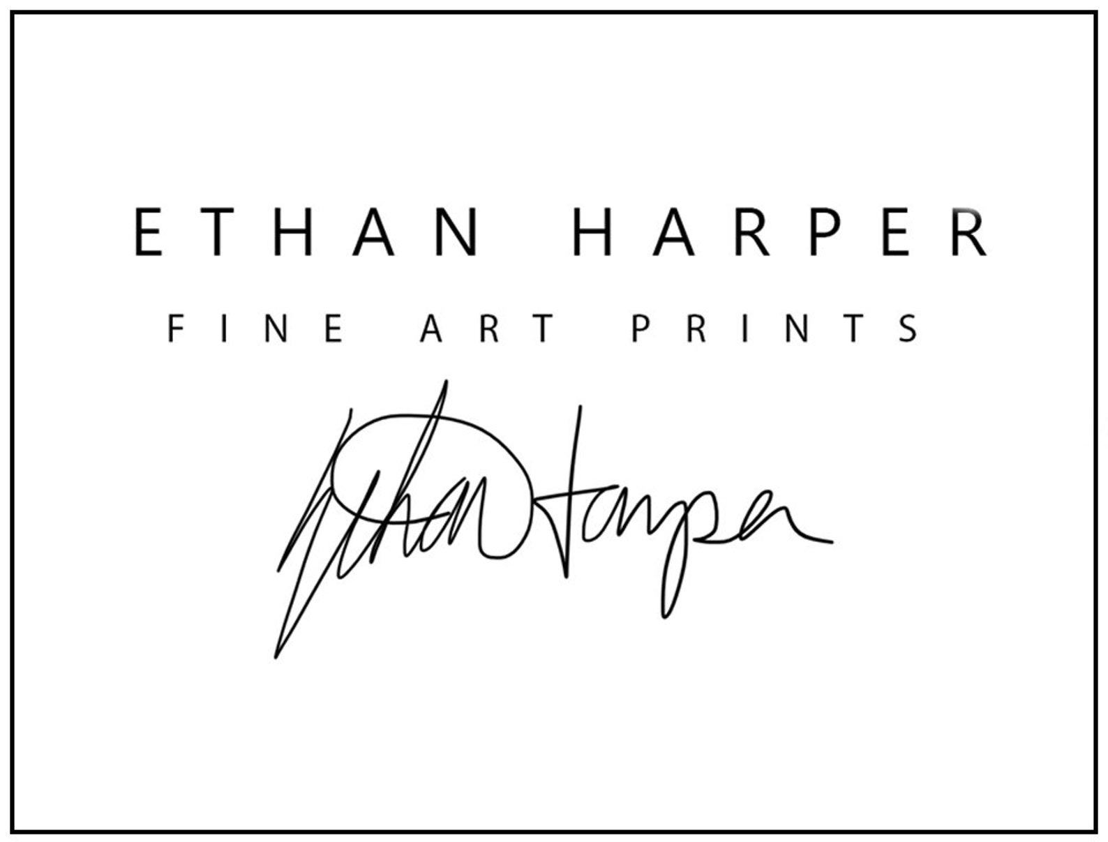 Ethan Harper’s Masterful Black Lab Drawing A Timeless Wall Decor for Dog Lovers - Image 3