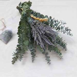 Eucalyptus Leaf Lavender Bath Eucalyptus Set Preserve Green Eucalyptus Leaves for a Refreshing Shower Experience