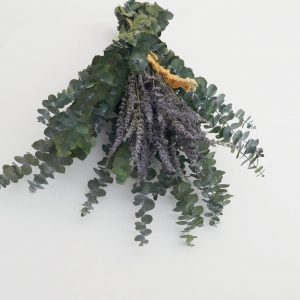 Eucalyptus Leaf Lavender Bath Eucalyptus Set Preserve Green Eucalyptus Leaves for a Refreshing Shower Experience