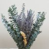 Eucalyptus Leaf Lavender Bath Eucalyptus Set Preserve Green Eucalyptus Leaves for a Refreshing Shower Experience