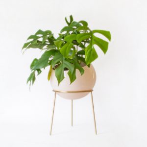 Exquisite Nude Pink and Brass Floor Planter Elevate Your Home’s Ambiance
