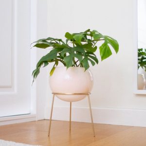 Exquisite Nude Pink and Brass Floor Planter Elevate Your Home’s Ambiance