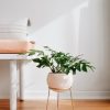 Exquisite Nude Pink and Brass Floor Planter Elevate Your Home’s Ambiance