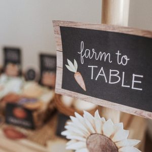 Farmers Market Dramatic Play Set Cultivate Imaginative Play and Market Adventures