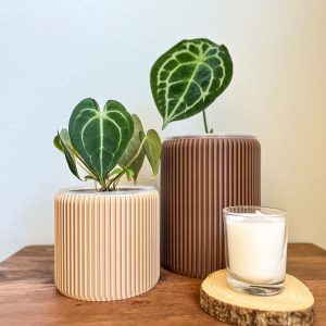 Gansal Modern Planter Pot Elevate Your Home Decor with Clear, Drainage-Enabled Pots for Indoor Plants