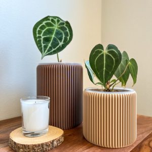 Gansal Modern Planter Pot Elevate Your Home Decor with Clear, Drainage-Enabled Pots for Indoor Plants