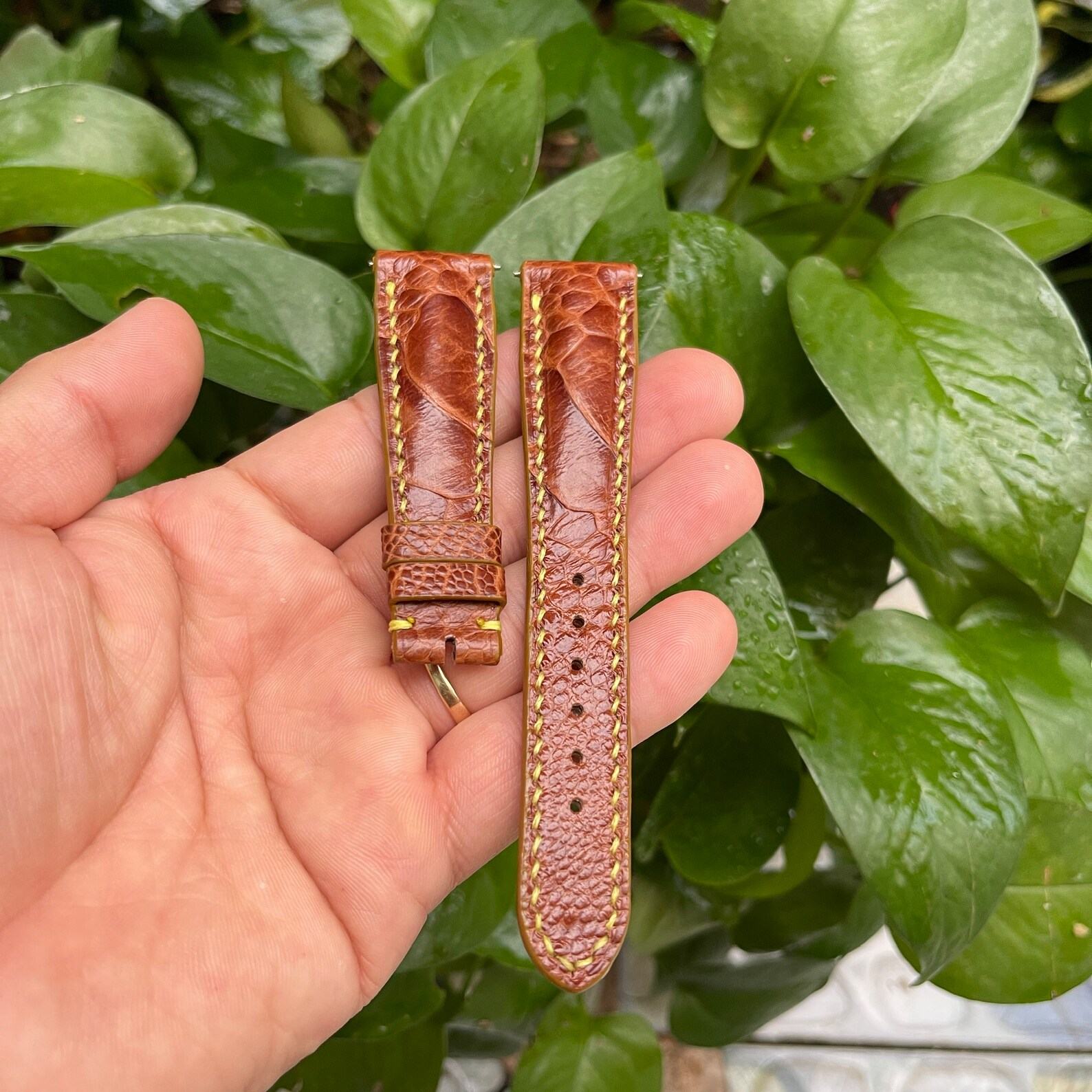 Genuine Ostrich Leg Leather Watch Strap Elevate Your Timepiece with Exotic Luxury