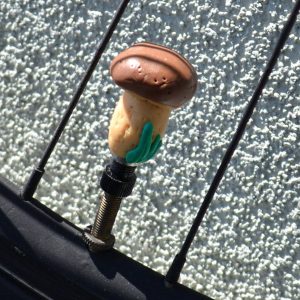 Glow-in-the-Dark Mushroom Valve Caps Illuminate Your Ride with Whimsy