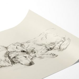 Golden Retriever Drawing Fine Art Print by Ethan Harper, Perfect for Dog Lovers