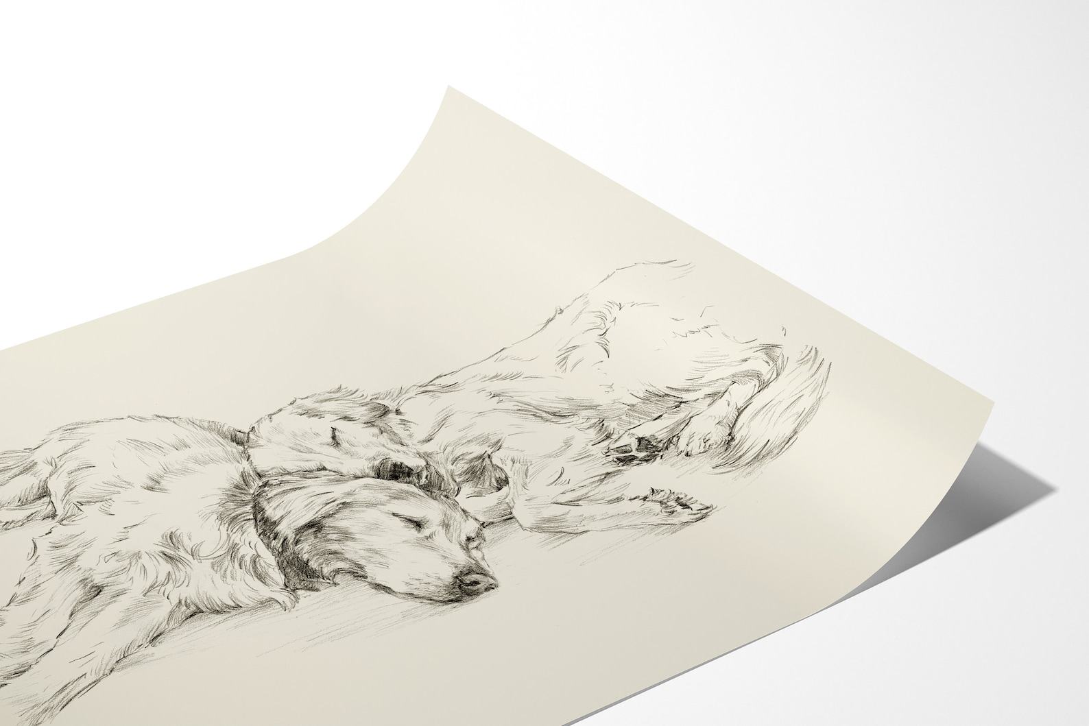 Golden Retriever Drawing Fine Art Print by Ethan Harper, Perfect for Dog Lovers - Image 2