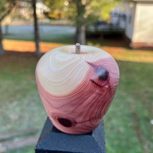 Handcrafted Wooden Fruit Collection Apples, Pumpkins, Pears, and Lemons